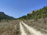 Участок 172.0  соток, Баштановка с.