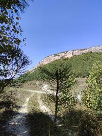 Участок 172.0  соток, Баштановка с.