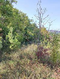 Участок 172.0  соток, Баштановка с.