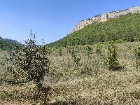 Участок 172.0  соток, Баштановка с.