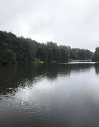 Дом 57.0  м2, Васильчиновка тер. СНТ