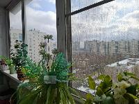 38.9  м2, Москва