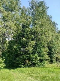 Участок 502.0  соток, Витенево д.