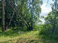 Участок 502.0  соток, Витенево д.