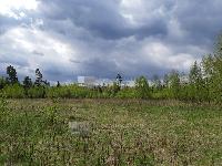 Участок 12.0  соток, Новораково д.