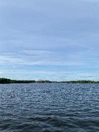 Участок 23.0  соток, Большая вода днп