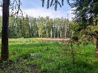 Участок 23.0  соток, Большая вода днп