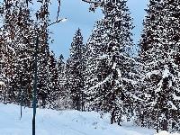 Участок 10.0  соток, Часовня д.