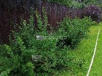 Дом 150.0  м2, Дедово-Талызино д.