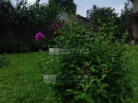 Дом 150.0  м2, Дедово-Талызино д.