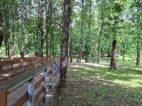 Участок 12.6  соток, Истра г.