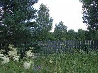 Дом 100.0  м2, Молозвино д.