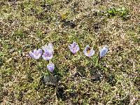 Дом 150.0  м2, Дедово-Талызино д.