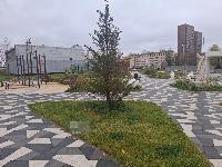 76.7  м2, Москва