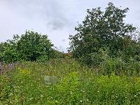 Участок 6.0  соток, Истра г.