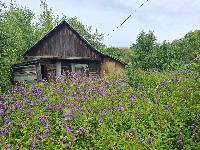 Участок 6.0  соток, Истра г.