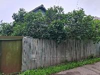 Участок 6.0  соток, Истра г.