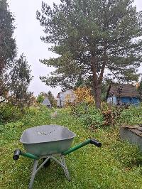 Участок 14.5  соток, Писково д.