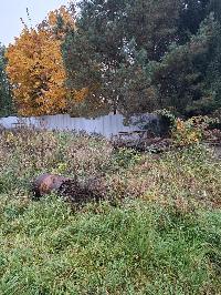 Участок 14.5  соток, Писково д.