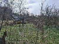 Участок 6.0  соток, Истра г.