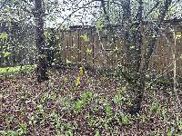 Участок 14.0  соток, Синьково д.