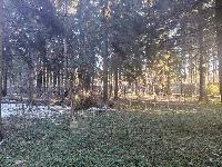 Участок 37.0  соток, НИИ Радио п.
