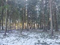 Участок 37.0  соток, НИИ Радио п.