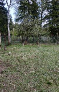 Участок 3.8  соток, НИИ Радио п.