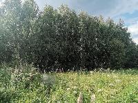 Участок 10.0  соток, Сириус-1 тер.