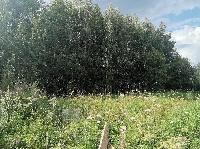 Участок 10.0  соток, Сириус-1 тер.