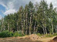 Участок 10.0  соток, Сириус-1 тер.