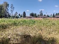 Участок 16.0  соток, Сириус-1 тер.