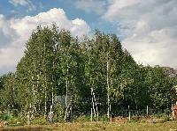 Участок 10.0  соток, Сириус-1 тер.