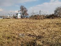 Участок 41.3  соток, Петровское с.