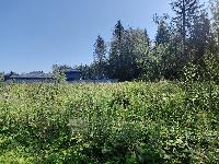 Участок 16.0  соток, Краснознаменск г.