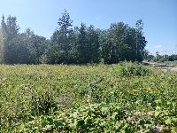 Участок 16.0  соток, Краснознаменск г.