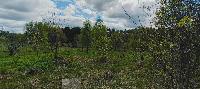 Участок 50.0  соток, Ермолино д.