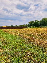 Участок 22.0  соток, Похлебайки д.