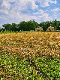 Участок 22.0  соток, Похлебайки д.