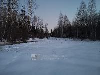 Участок 12.0  соток, Кортис снт