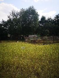 Дом 42.0  м2, Сосновка с.