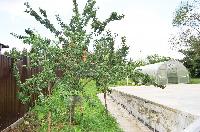 Дом 460.0  м2, Жостово д.