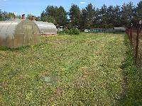 Участок 26.0  соток, Сосновка с.