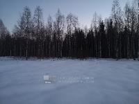 Участок 12.0  соток, Кортис снт