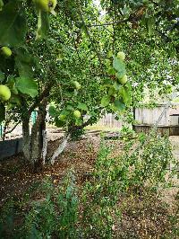 Дом 42.0  м2, Сосновка с.