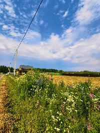 Участок 22.0  соток, Похлебайки д.
