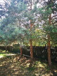 Дом 42.0  м2, Сосновка с.