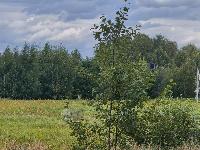 Участок 12.9  соток, Похлебайки д.