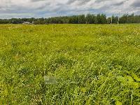 Участок 12.9  соток, Похлебайки д.