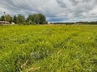 Участок 130.0  соток, Похлебайки д.